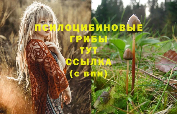 Альфа ПВП Арсеньев